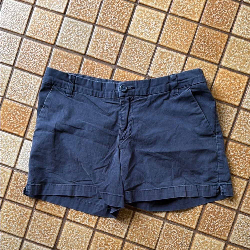 Patagonia Size 6 Navy Women's Shorts